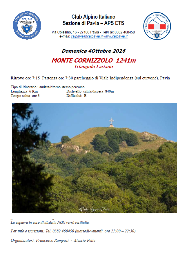 Scarica PDF
